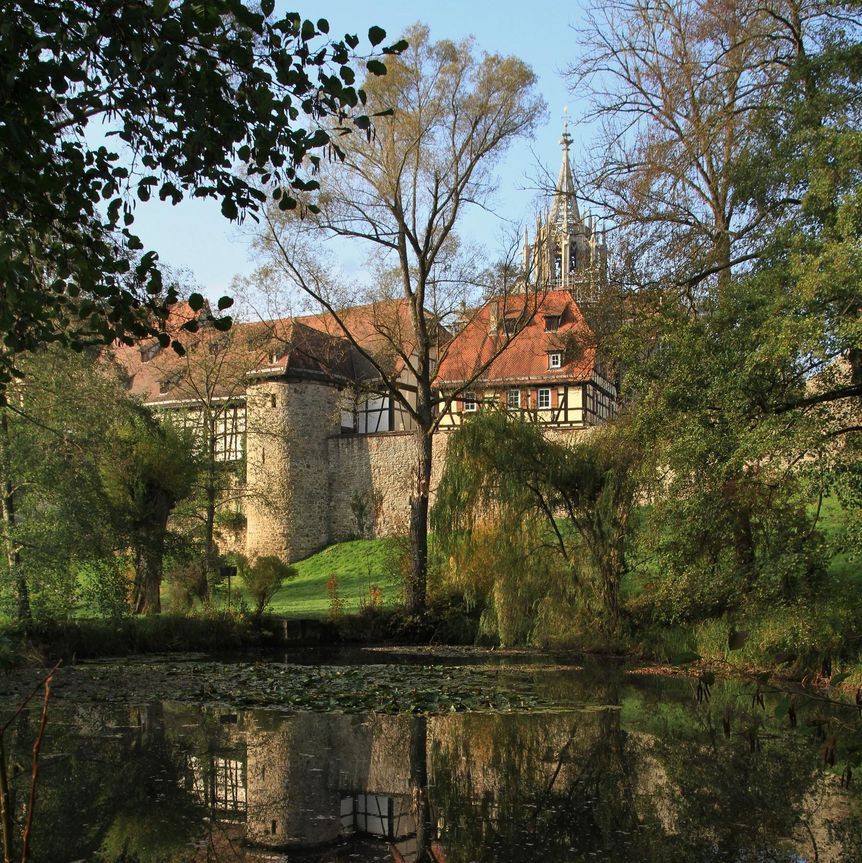 Kloster und Schloss Bebenhausen, Weiher 
