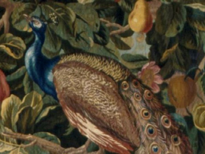 Die Tiere Neuindiens