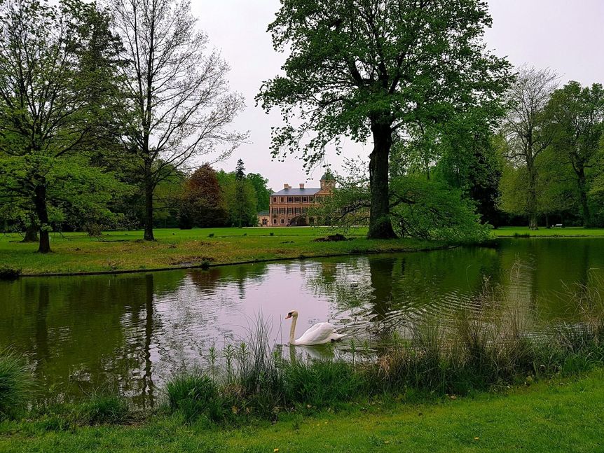 Foto: Staatliche Schlösser und Gärten Baden-Württemberg, Ortsverwaltung Rastatt-Niederbühl Schloss Favorite Rastatt, See im Schlosspark Favorite