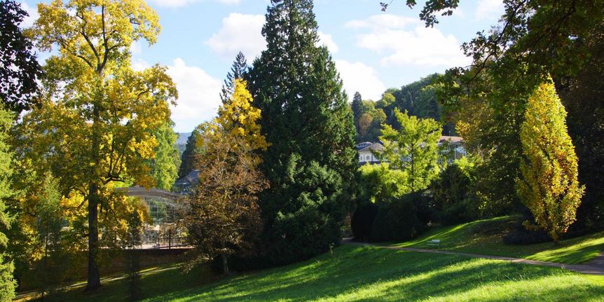 Parcs de Badenweiler