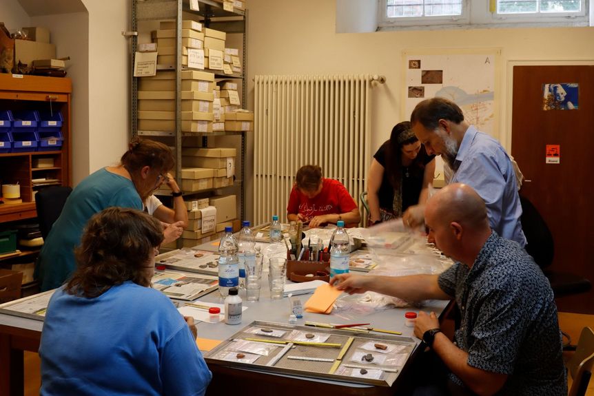 Burg Rötteln, Grabungsprojekt, Freiwillige sichern die Funde